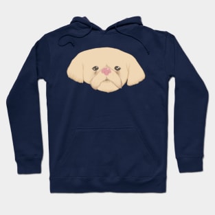 Shih Tz Hoodie